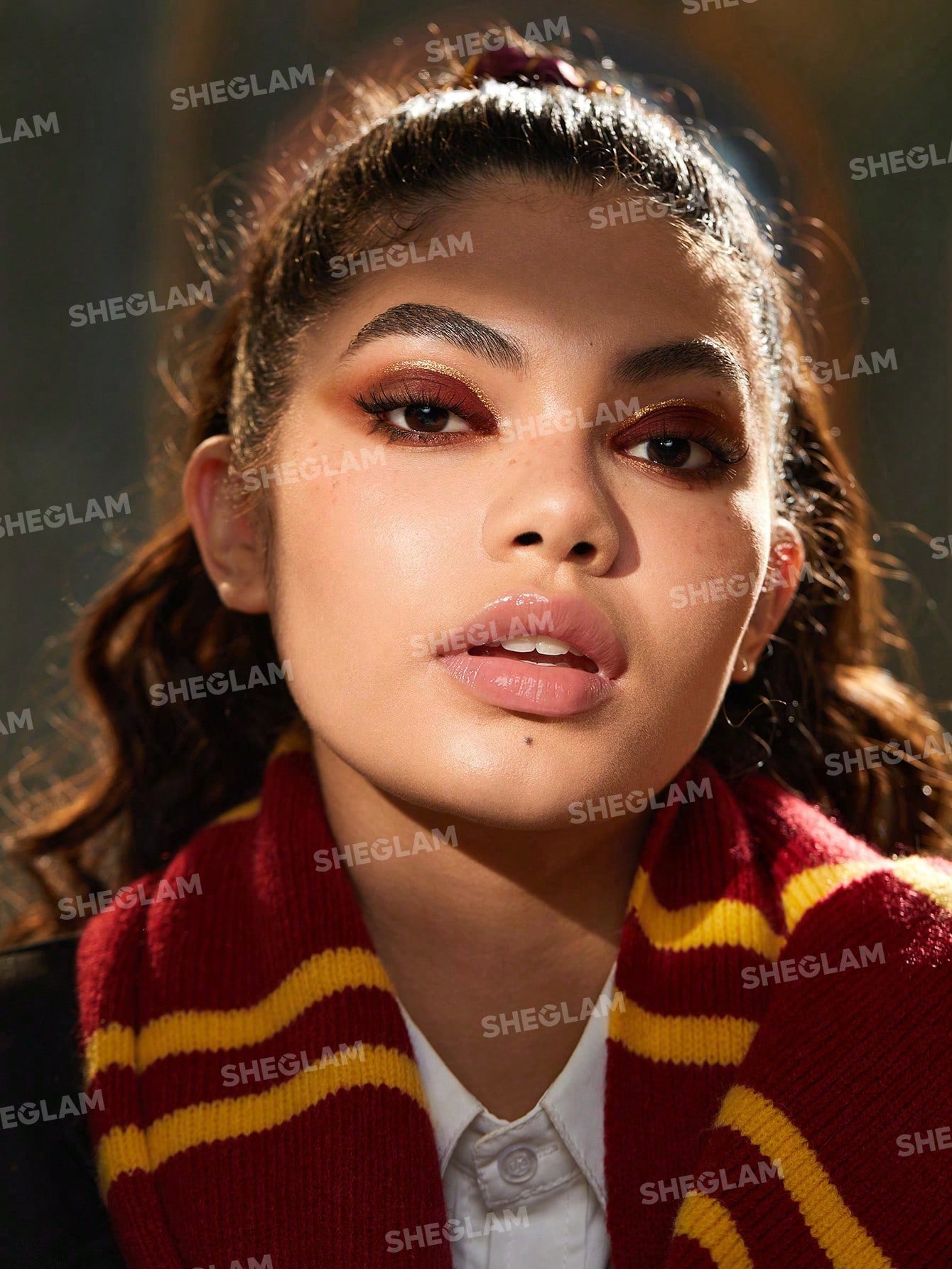 Hogwarts_Houses_Palette_Set_4